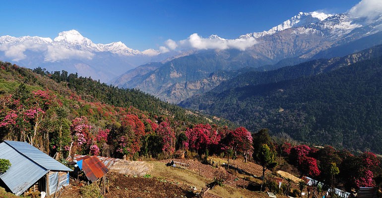 Trekking in the Himalayas