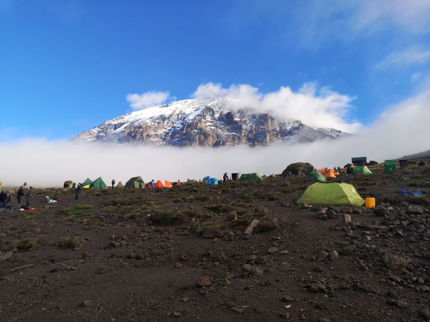 Kilimanjaro 5895m; the Mountaineers way